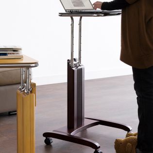 PSN62Laptop Stand